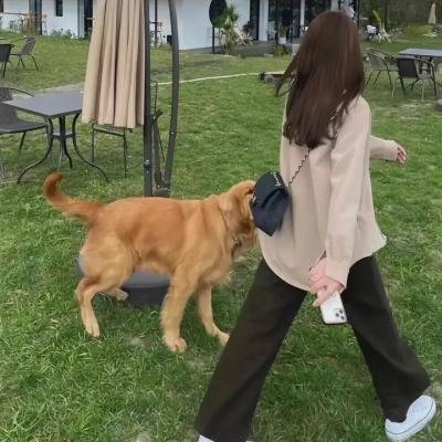 危机中的年轻人
