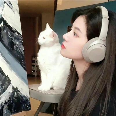 疯狂之月
